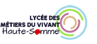 lmv-learning